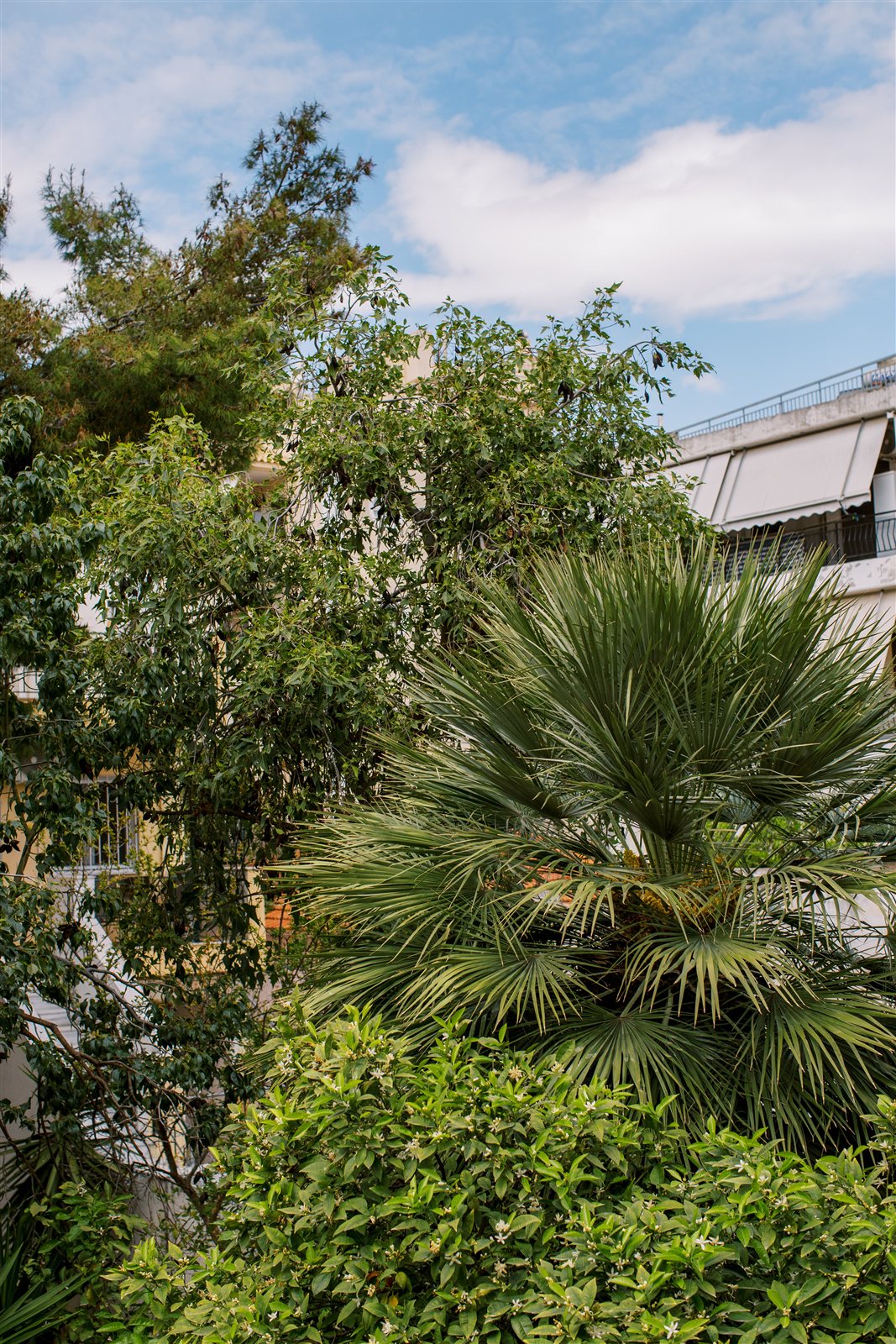 Neighbourhood greenery at Helios Apartment
